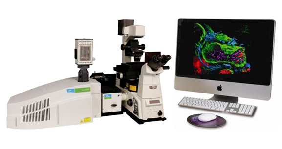 UltraVIEW VOX 3D Live Cell Imaging System