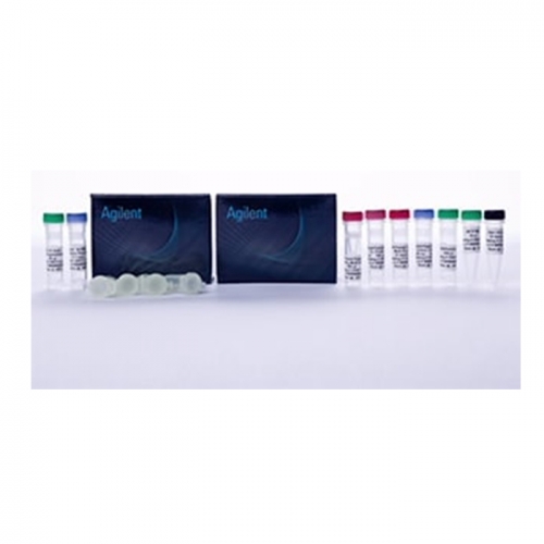 SureSelectXT Methyl-Seq Library Preparation Kit